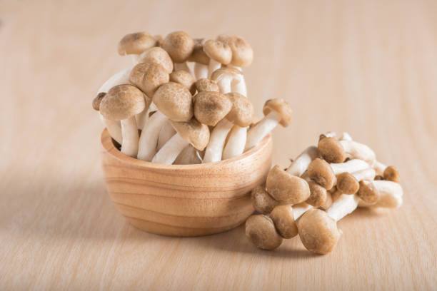 istock Shimeji mushrooms brown varieties in wood cup. 671994936