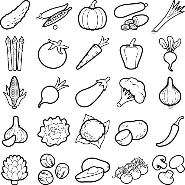 야채 - vegetable asparagus cauliflower legume stock illustrations