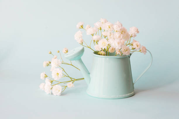 istock Delicate bouquet gypsophila in blue  pot on blue background. Copy space for text. 671995978