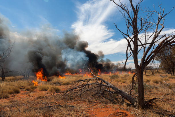 Bushfire in outback Australia Firestick burning in outback Central Australia alice springs photos stock pictures, royalty-free photos & images