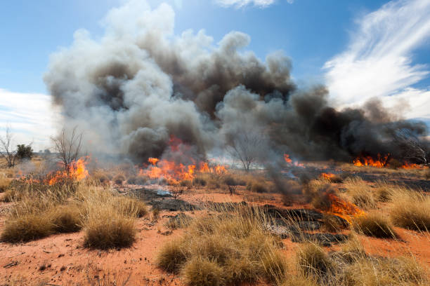 incendio nell'outback australia - outback australia australian culture land foto e immagini stock