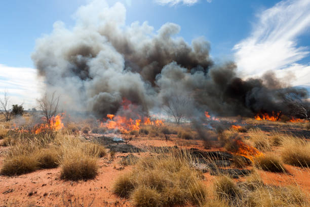 Bushfire in outback Australia Firestick burning in outback Central Australia wildfire smoke stock pictures, royalty-free photos & images
