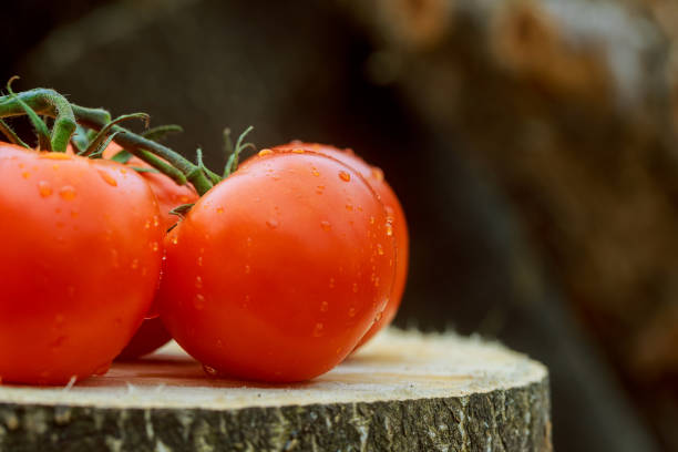 istock Three tomatoes with drops of water on wood background 672002772