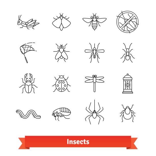 насекомые и вредителей истребления тонкой линии значки набор - жук олень stock illustrations