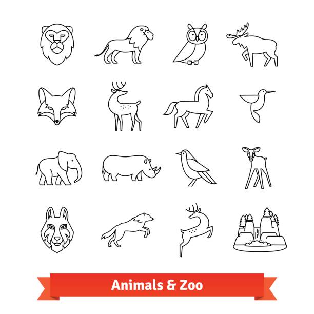 Zoo animals and birds. Thin line art icons set Zoo animals and birds. Thin line art icons set. Zoological garden wildlife, national park landscape. Linear style symbols isolated on white. reindeer heads pics stock illustrations