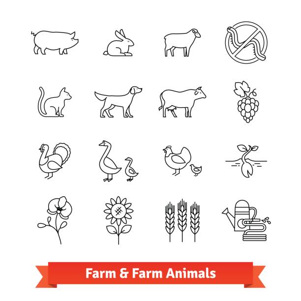 tierzucht und landwirtschaft dünne linie kunst symbole - livestock isolated young animal chicken stock-grafiken, -clipart, -cartoons und -symbole