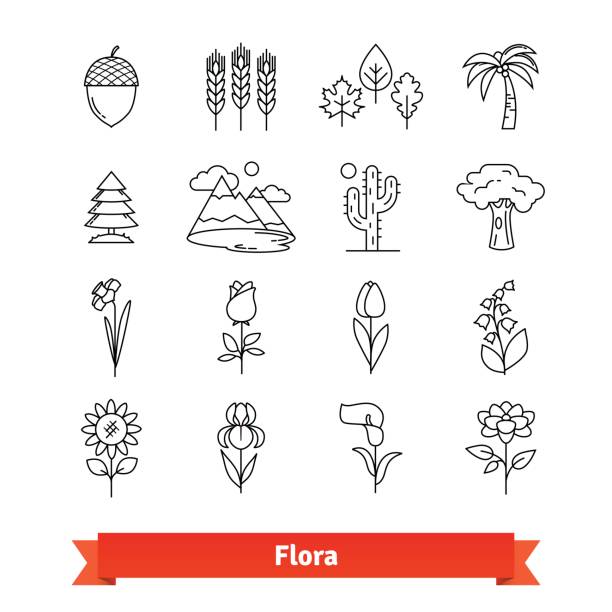 illustrazioni stock, clip art, cartoni animati e icone di tendenza di set di icone artistiche a linea sottile flora. vita delle piante - glen trool