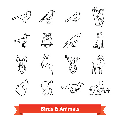 Wild animals and birds thin line art icons set. Wildlife zoology, hunting trophies. Linear style symbols isolated on white.