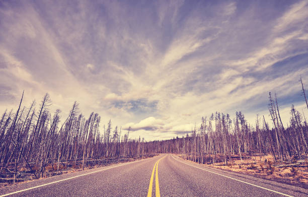istock Vintage stylized scenic road, travel concept picture. 672015200