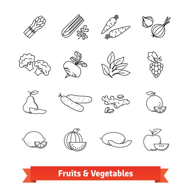 ilustrações, clipart, desenhos animados e ícones de conjunto de ícones de arte de linha fina de frutas e legumes - asparagus