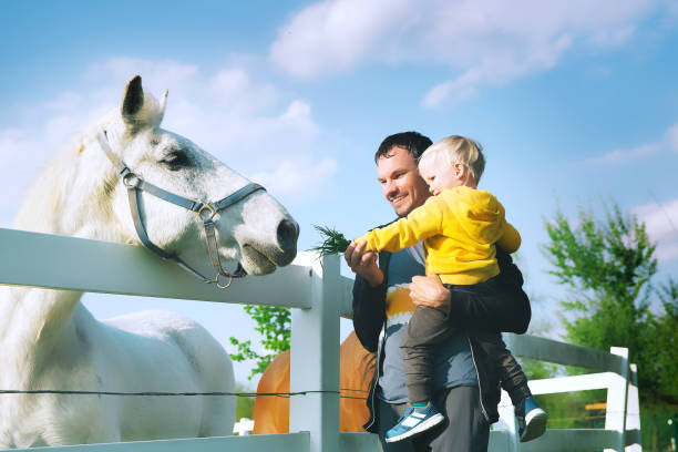 padre e hijo son alimentar un caballo en el campo. - horse child animal feeding fotografías e imágenes de stock