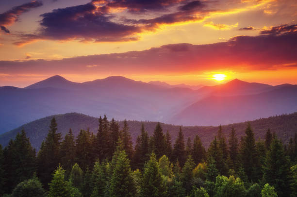 istock Beautiful green hills glowing by warm sunlight at twilight. 672020802