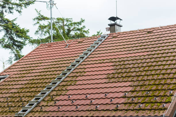 istock ladder to a roof with a chimney 672029912
