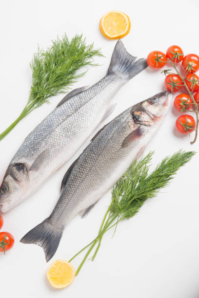 istock European seabass, branzino fish 672043126
