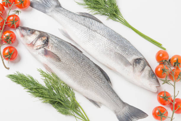 istock European seabass, branzino fish 672043378