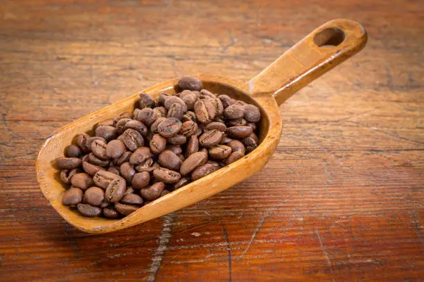 rustic scoop of roasted coffee beans against a grunge weathered wood background