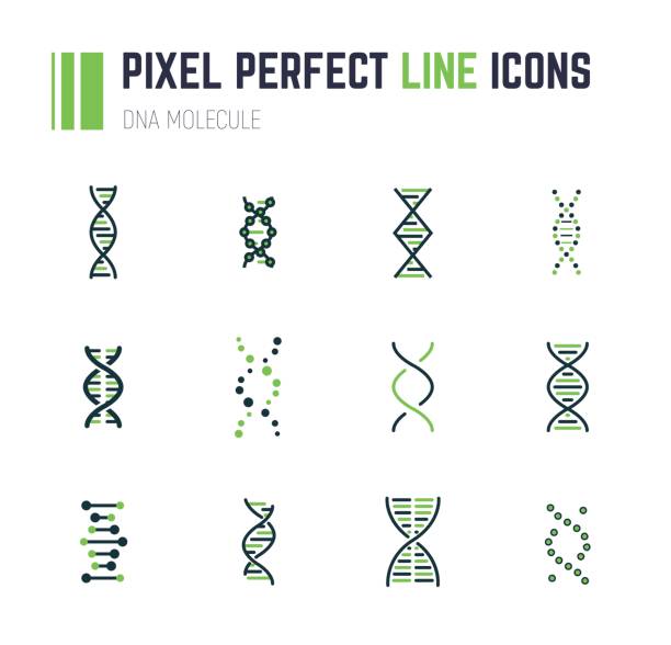 ilustraciones, imágenes clip art, dibujos animados e iconos de stock de conjunto de iconos de la molécula de adn - dna chromosome biology medicine