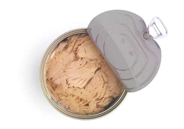 canned tuna isolated on white / Canned soy free albacore white meat tuna packed in water