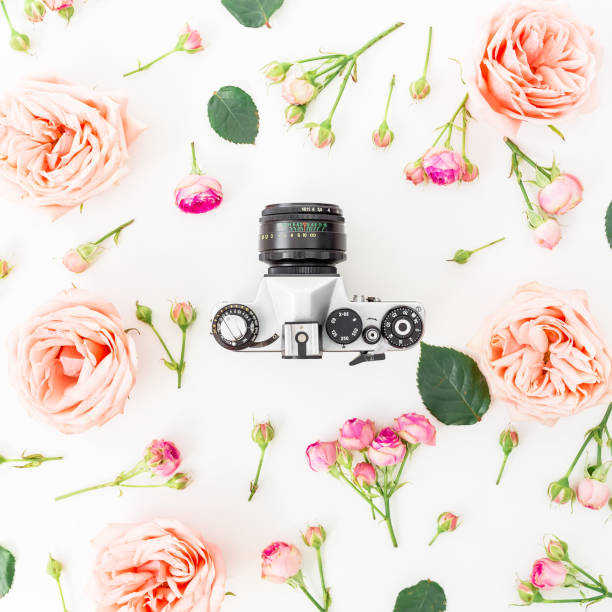 istock Round frame with pink roses and Old retro camera on white background. Flat lay, top view. 672053564