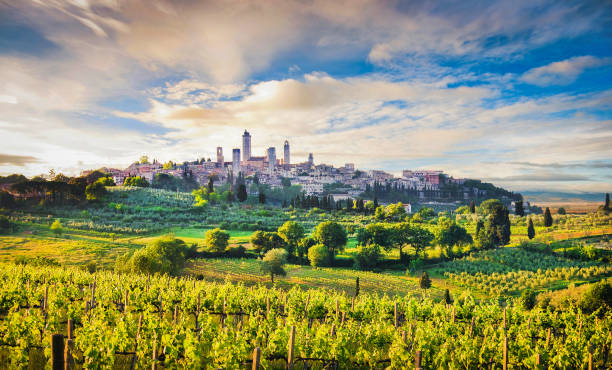 ciudad medieval de san gimignano al atardecer, toscana, italia - san gimignano fotografías e imágenes de stock