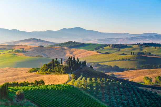 日の出の風光明媚なトスカーナの風景, ヴァルオルチャ, イタリア - val tuscany cypress tree italy ストックフォトと画像