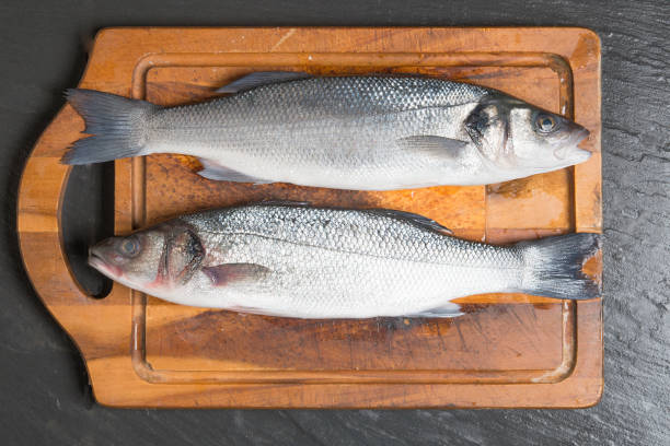 istock European seabass, branzino fish 672064434