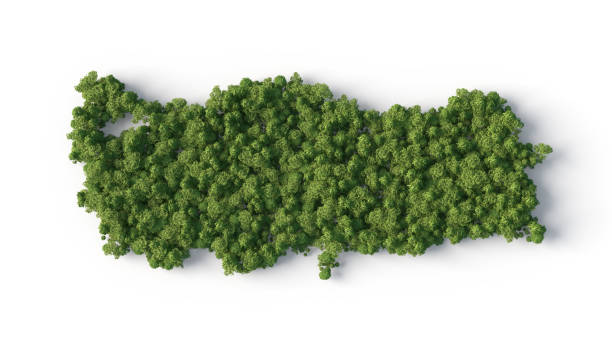 turkey forest shape stock photo