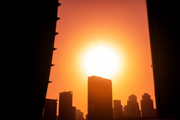 istock Skyscrapers of Dubai at sunset 672070790