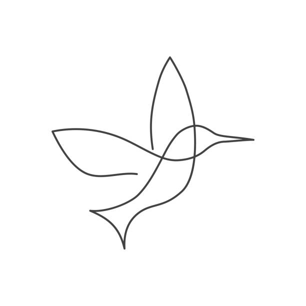 Continuous line bird White one line drawing Continuous line bird. Black and white vector illustration. One line drawing. Concept for icon, card, banner, poster, flyer continuous line drawing bird stock illustrations