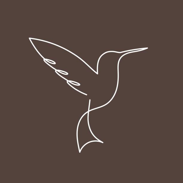 Continuous line bird White one line drawing Continuous line bird. Vector illustration. White one line drawing. Concept for icon, card, banner, poster flyer continuous line drawing bird stock illustrations