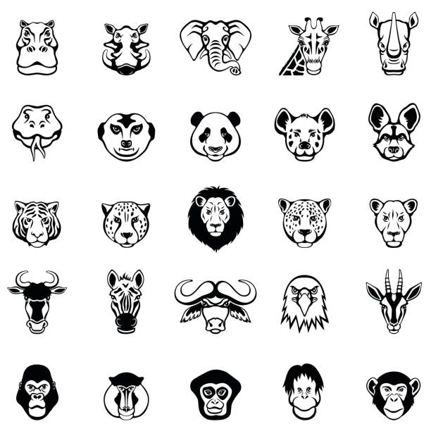 ilustraciones, imágenes clip art, dibujos animados e iconos de stock de caras de animales africanos - monkey baboon elephant ape