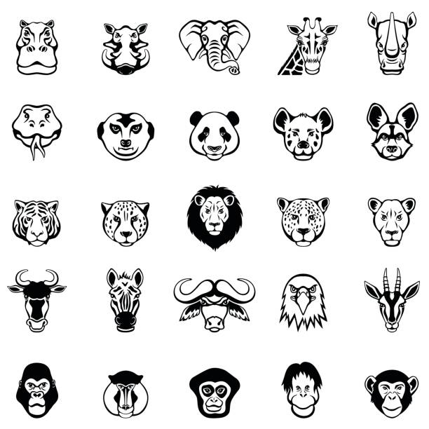 afrykańskie twarze zwierząt - animal head obrazy stock illustrations