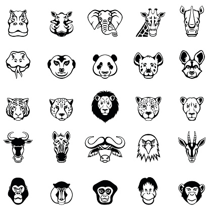 Wild African Animal Faces