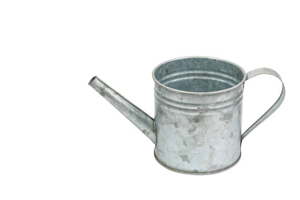 istock Isolated zinc watering can on white 672075038