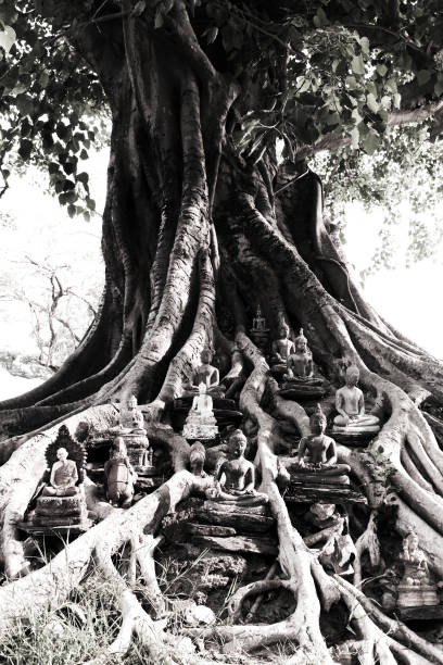 Thailand buddhist country