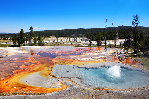 Colorful geyser erupting at Biscuit Basin in Yellowstone National Park.