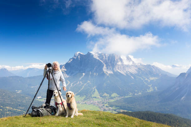 naturfotograf genießen sie den blick ihrer hunde, zugspitze, alpen - zugspitze mountain bavaria mountain ehrwald stock-fotos und bilder