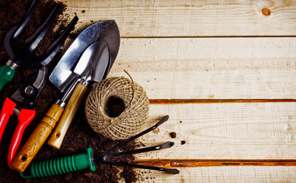 istock Garden scoop and loose soil 672099934