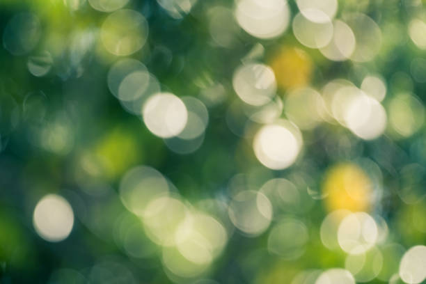 istock Colorful bokeh of nature background 672100312