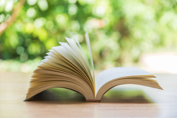 istock Open book on wood planks over abstract light background 672102720