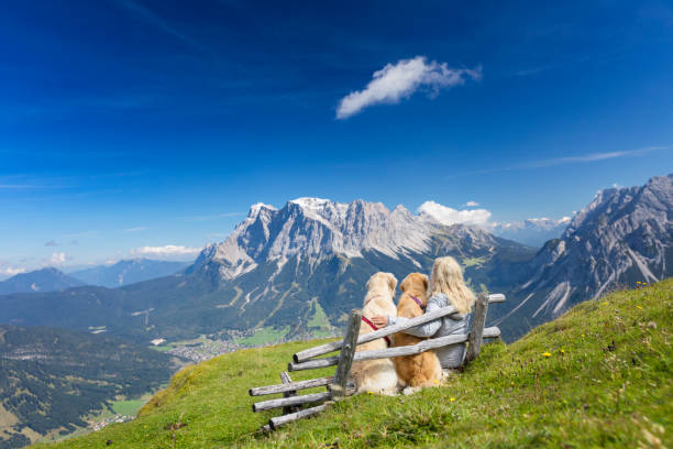 женщины на скамейке наслаждаться видом со своими собаками - цугспитце, альпы - ehrwald hiking individual sports landscapes стоковые фото и изображения