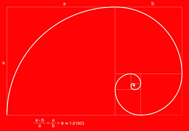 Fibonacci Spiral or Fibonacci Succession The Fibonacci spiral or Fibonacci sequence is one of the mathematical formulas par excellence in terms of the proportion aurea or divine proportion. The number is repeated infinitely, we can find it both in the organic form of nature and in the galaxies of the universe itself.  regla stock illustrations