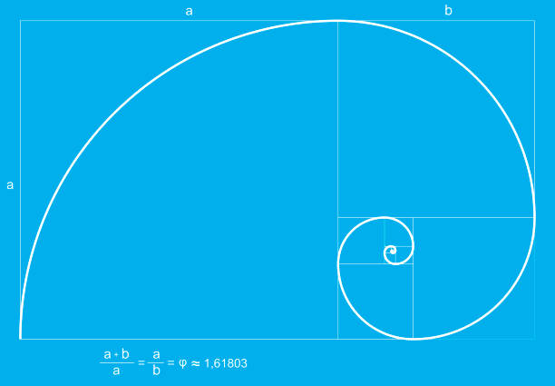 Fibonacci Spiral or Fibonacci Succession The Fibonacci spiral or Fibonacci sequence is one of the mathematical formulas par excellence in terms of the proportion aurea or divine proportion. The number is repeated infinitely, we can find it both in the organic form of nature and in the galaxies of the universe itself.  regla stock illustrations