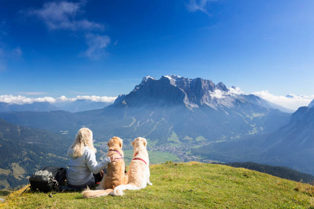 Women enjoy view with her dogs  -Zugspitze, Alps Austria, Ehrwald, Garmisch-Partenkirchen, Germany, Hiking ehrwald stock pictures, royalty-free photos & images