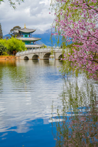 Black Dragon Pool. It's a famous pond in the scenic Jade Spring Park (Yu Quan Park)  in Yunnan province, China. Black Dragon Pool. It's a famous pond in the scenic Jade Spring Park (Yu Quan Park)  in Yunnan province, China. yunnan province stock pictures, royalty-free photos & images