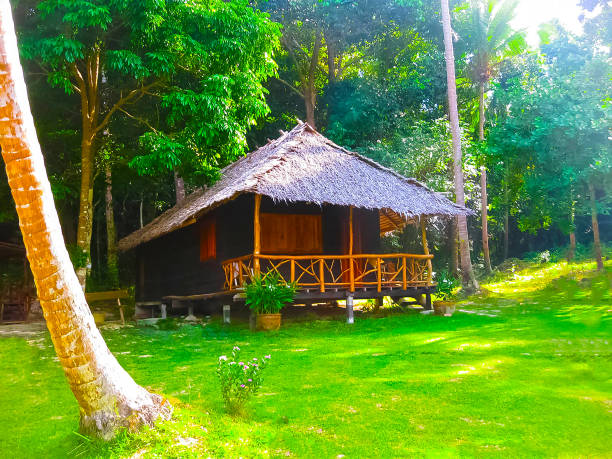 istock Tropical beach houses in Thailand 672116872