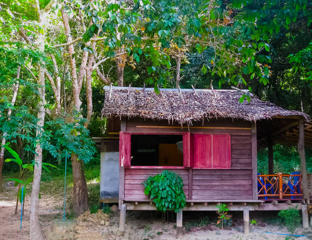 istock Tropical beach houses in Thailand 672116898