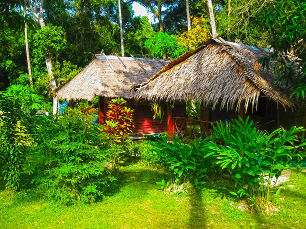 istock Tropical beach houses in Thailand 672117000