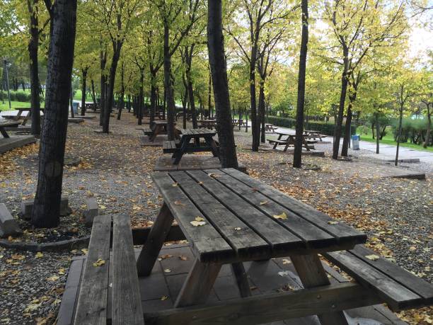 istock Autumn park with paths and benches 672122918