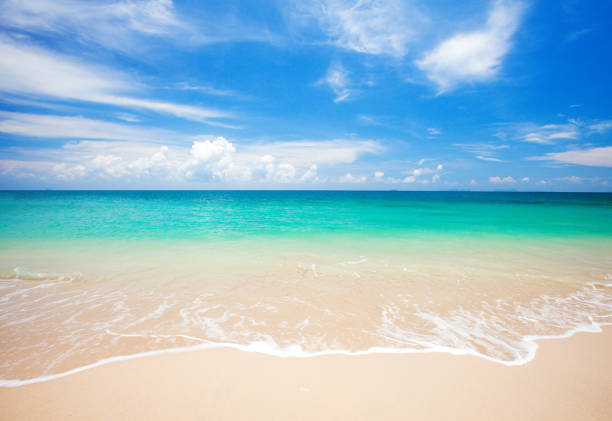 istock beach and tropical sea 672129848
